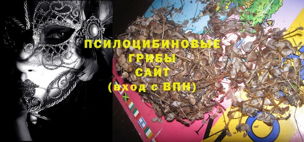 гашиш Касимов