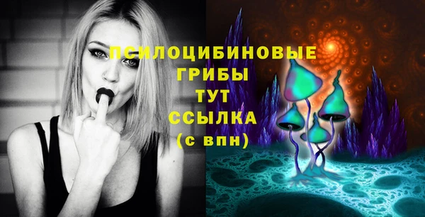 круглые Карпинск