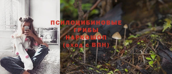 круглые Карпинск