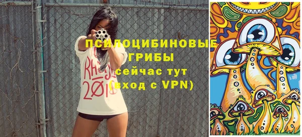 круглые Карпинск